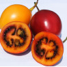 Tamarillo semillas