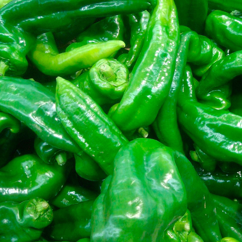 pimiento verde italiano dulce semillas