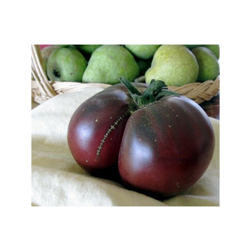 tomate brandywine black semillas