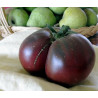 tomate brandywine black semillas