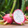 semillas de pitahaya