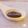 sembrar poleo semillas comprar mentha pulegium seeds