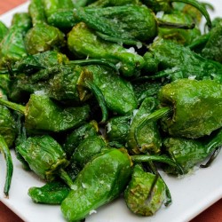 pimientos de padron fritos semillas