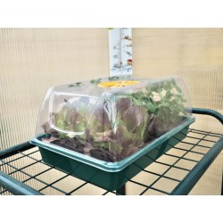 Mini invernadero 38,7×24,2×17,5cm – XS GREENHOUSE