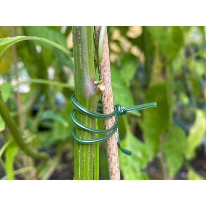 Alambre para atar 20 metros, para entutorar plantas | EntreSemillas