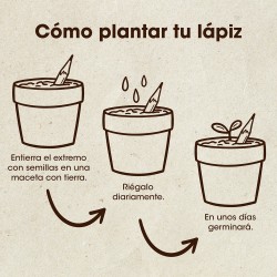 como plantar tu lapiz