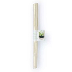 Tutores de bambú natural 30cm (20 uds) para plantas