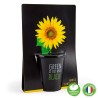 Kit "Green is the new Black" - Girasol