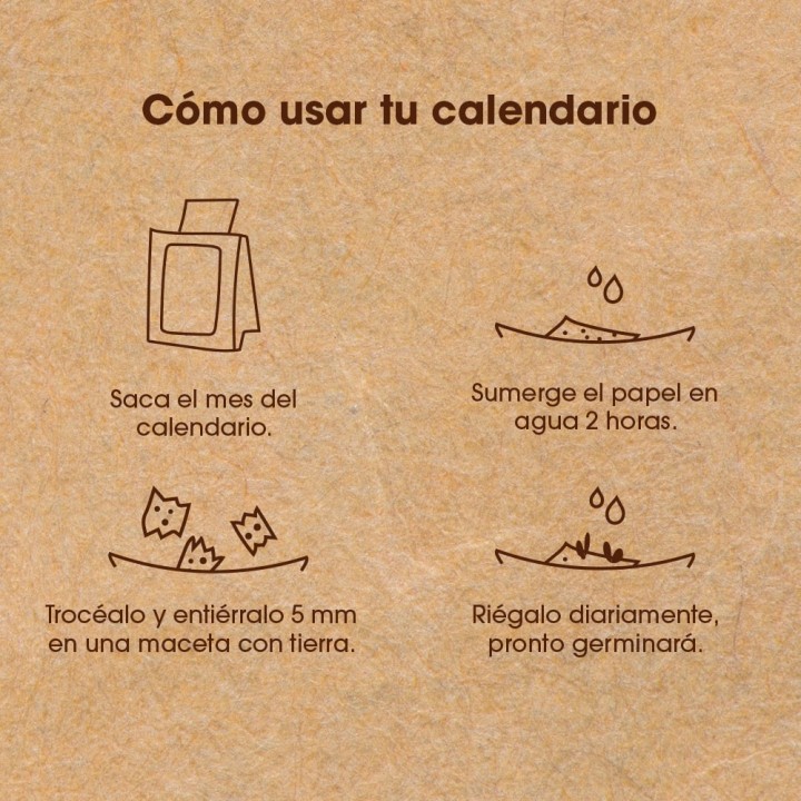 Calendario Plantable 2025: ¡Haz de tu año un ecoamigable viaje de crecimiento!