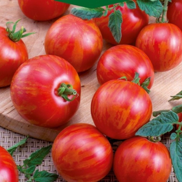 Tomate Duo - Semillas