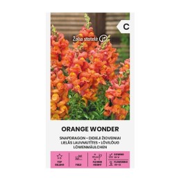 Boca de dragón, Orange Dream - Semillas