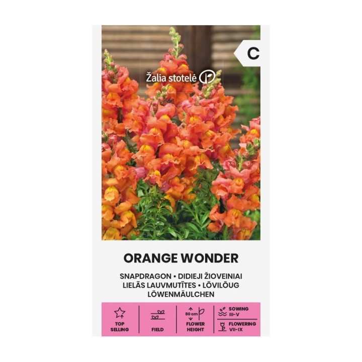 Boca de dragón, Orange Dream - Semillas