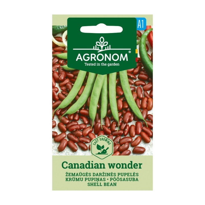 Judía enana Canadian Wonder - Semillas
