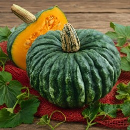 Calabaza Marina di Chioggia - Semillas