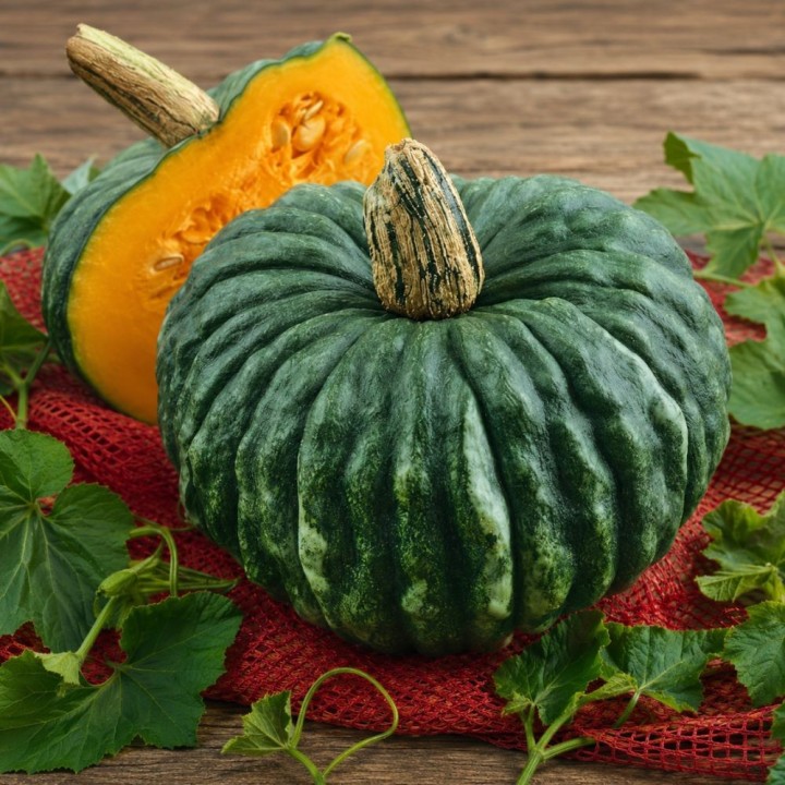 Calabaza Marina di Chioggia - Semillas