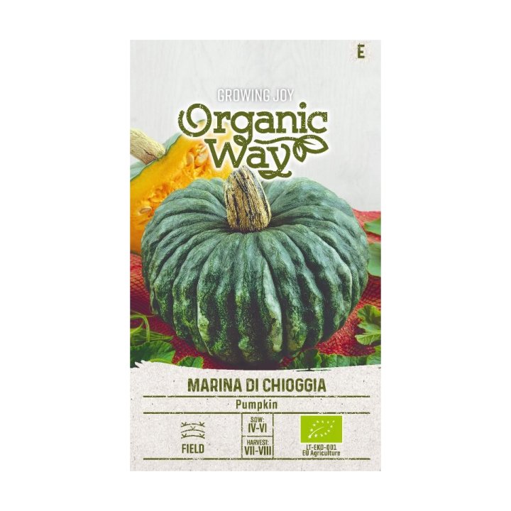 Calabaza Marina di Chioggia - Semillas