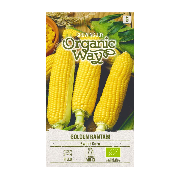 Maíz dulce Golden Bantam (Eco) - Semillas