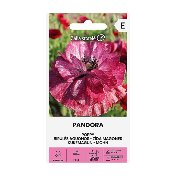Amapola, Pandora - Semillas