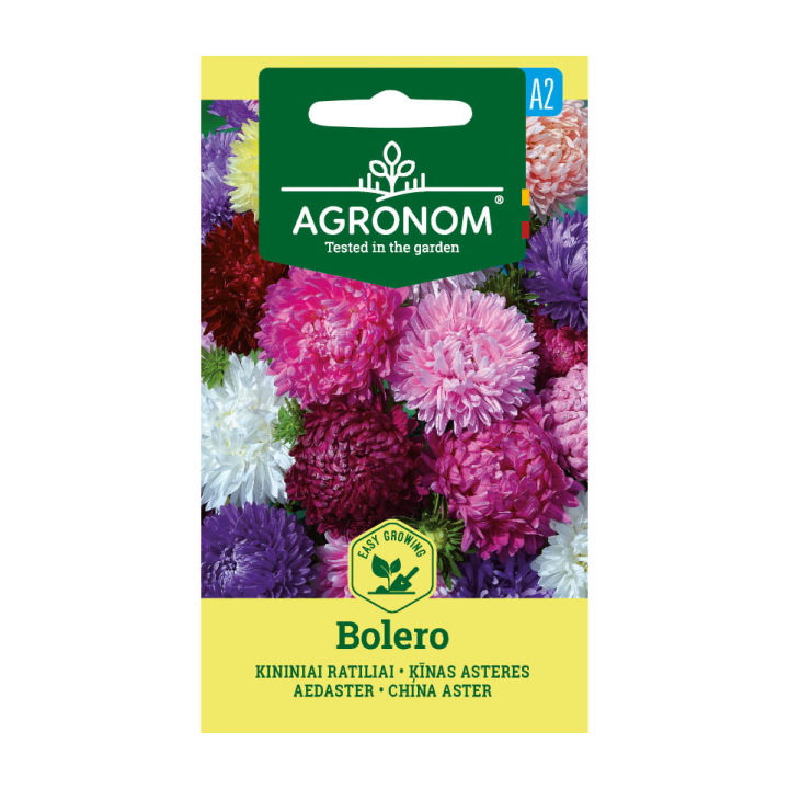 Áster de China, Bolero - Semillas