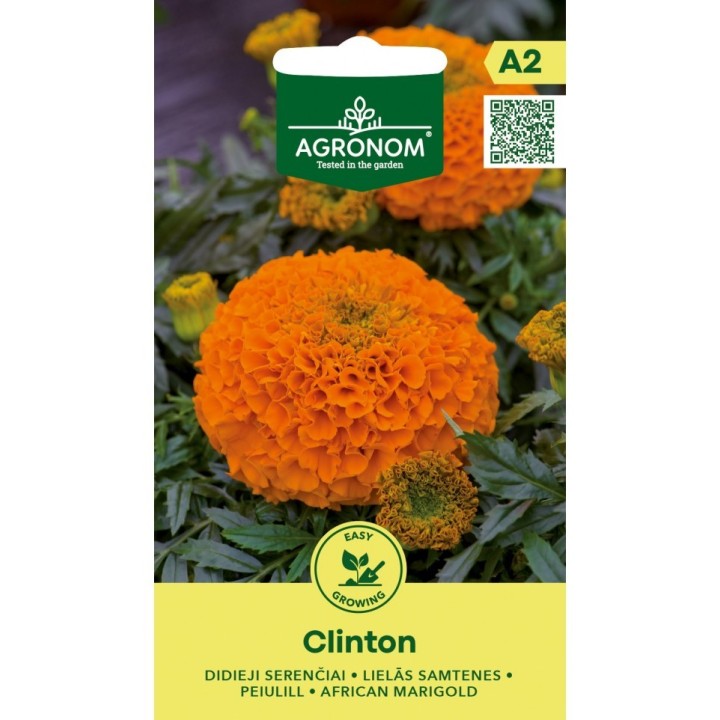 Tagete, Clinton - Semillas